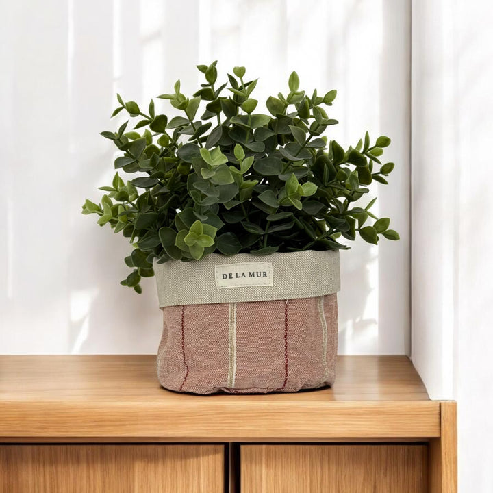 Cesta Pequeña Galea