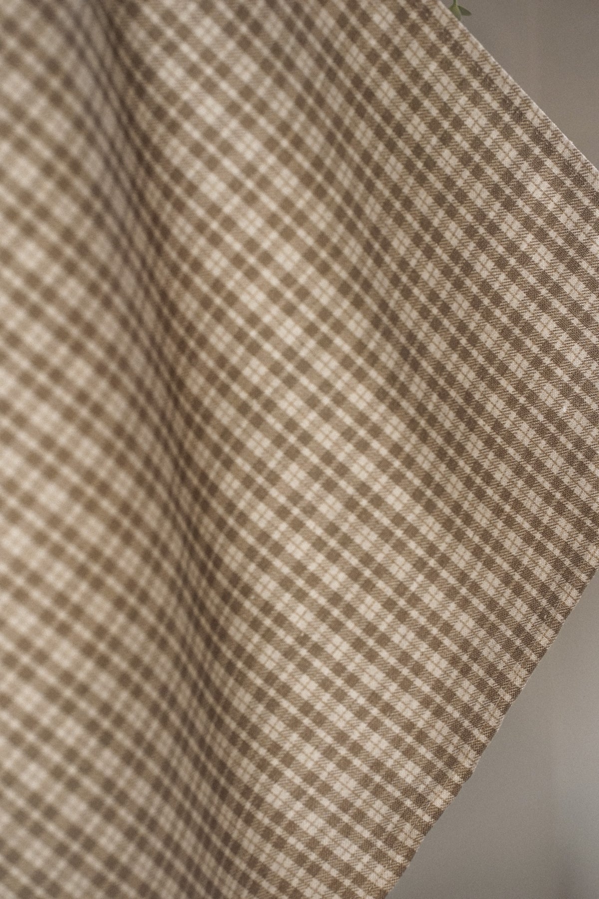 Paño Cast