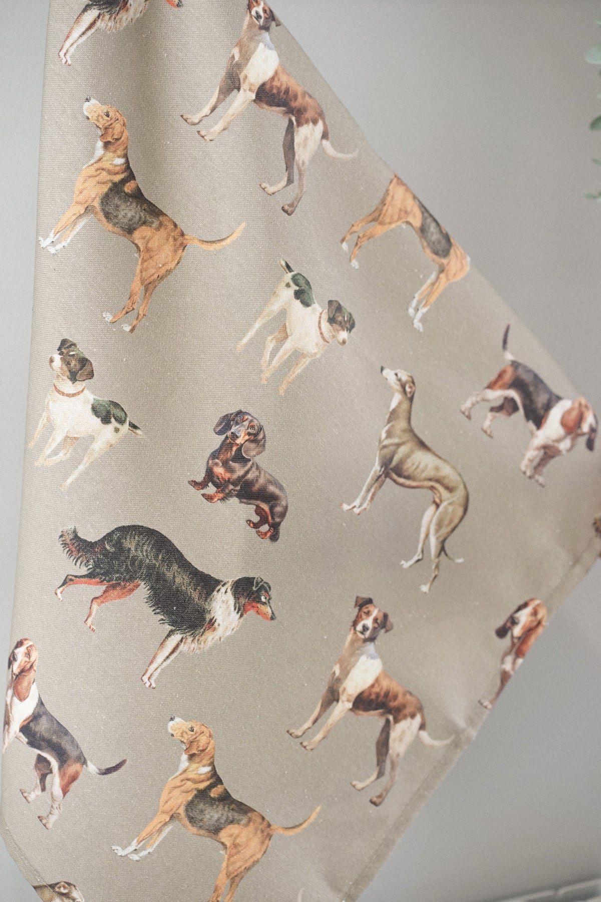 Paño Dog