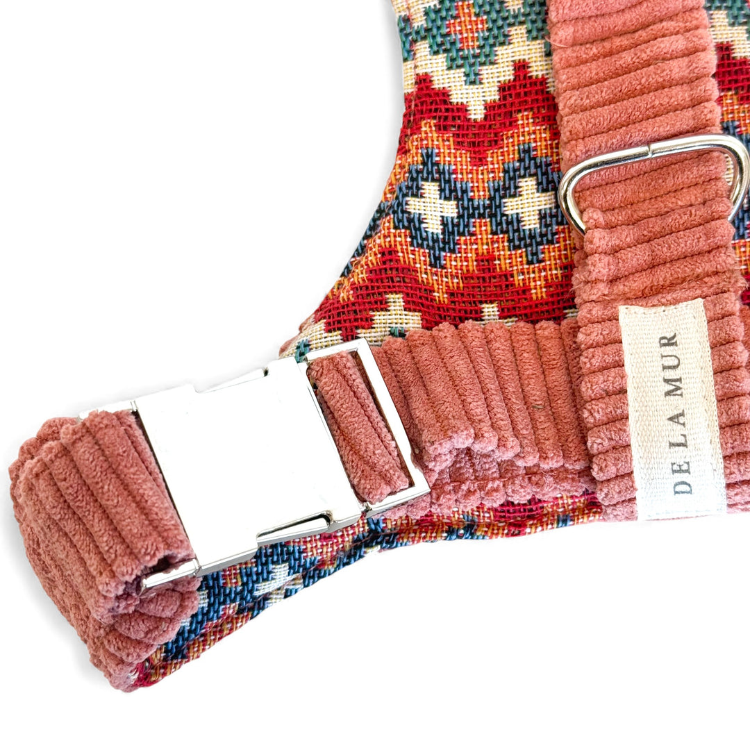 Pack Arnés y Correa Coral