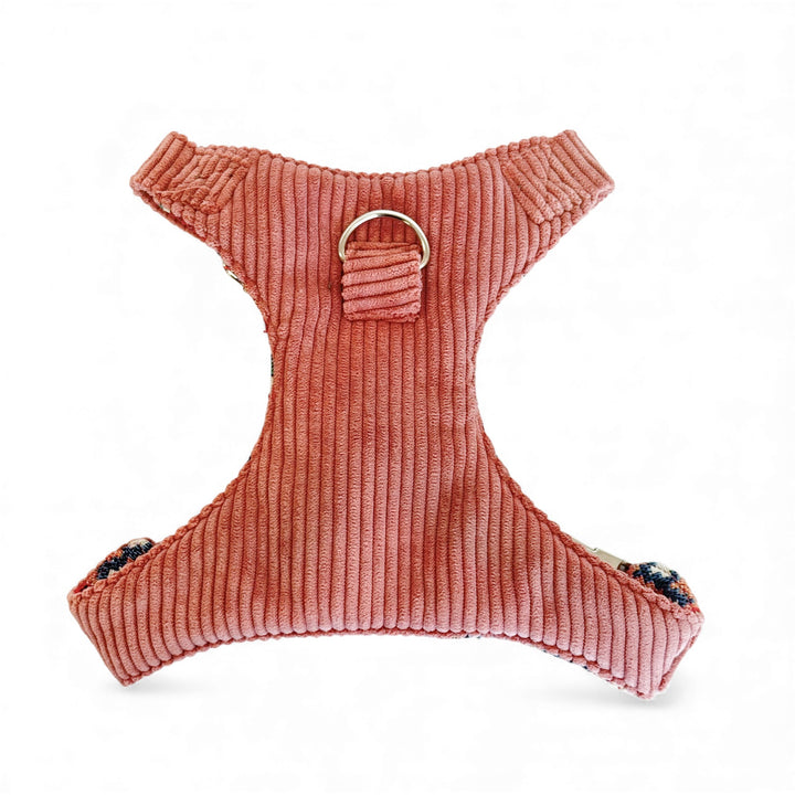 Pack Arnés y Correa Coral