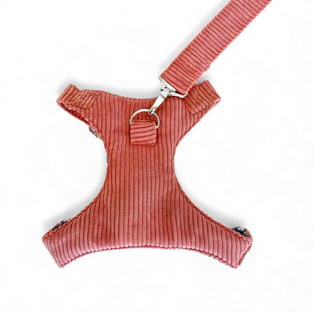 Pack Arnés y Correa Coral