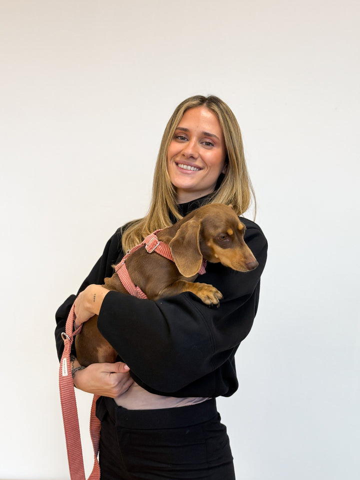 Pack Arnés y Correa Coral