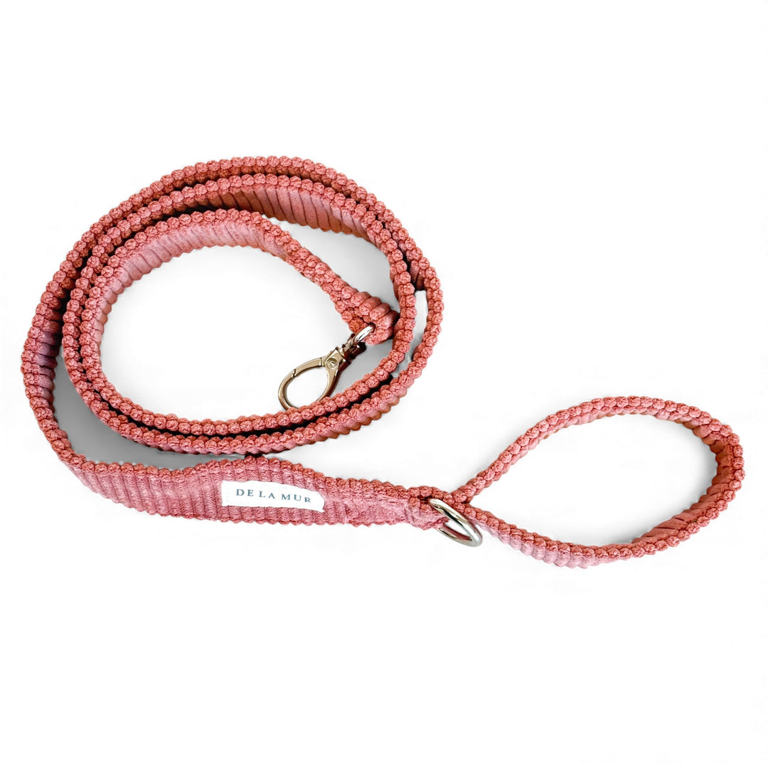 Pack Arnés y Correa Coral