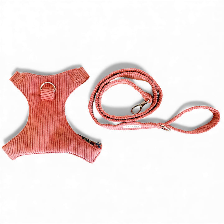 Pack Arnés y Correa Coral