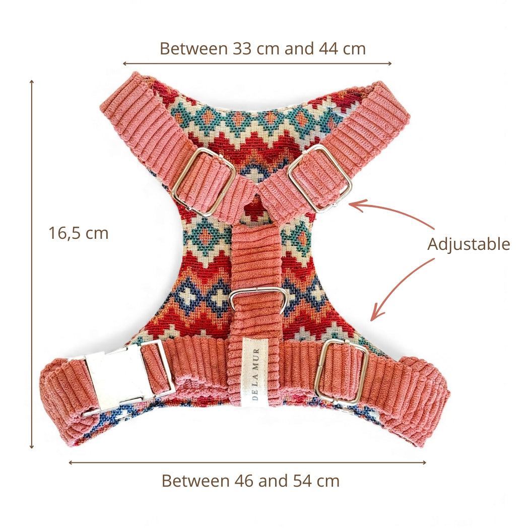 Pack Arnés y Correa Coral