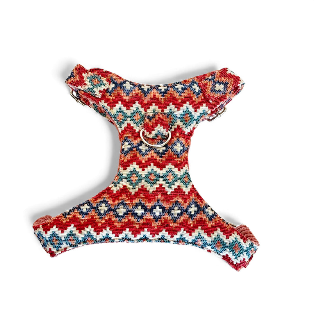 Pack Arnés y Correa Jal