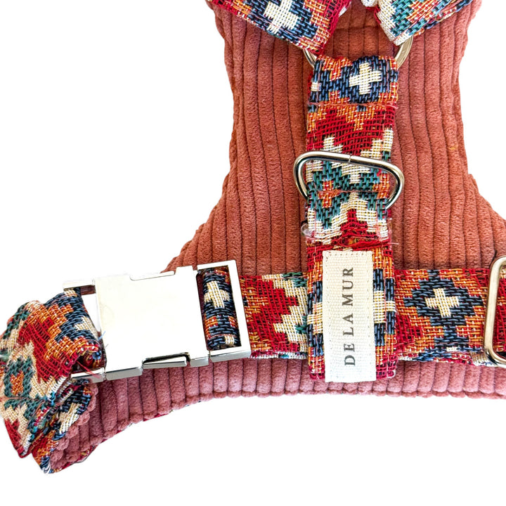 Pack Arnés y Correa Jal