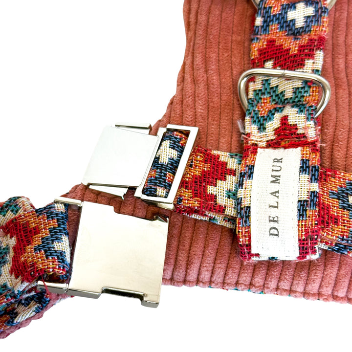 Pack Arnés y Correa Jal