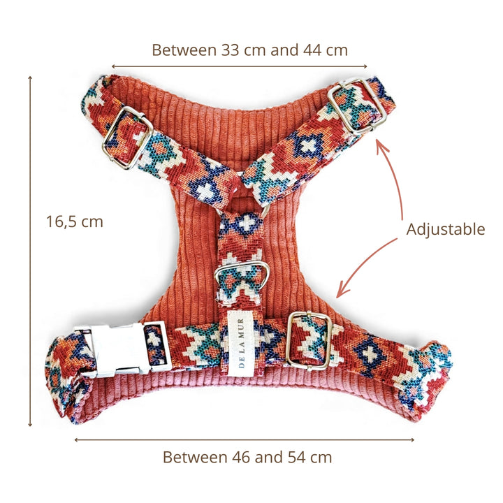 Pack Arnés y Correa Jal