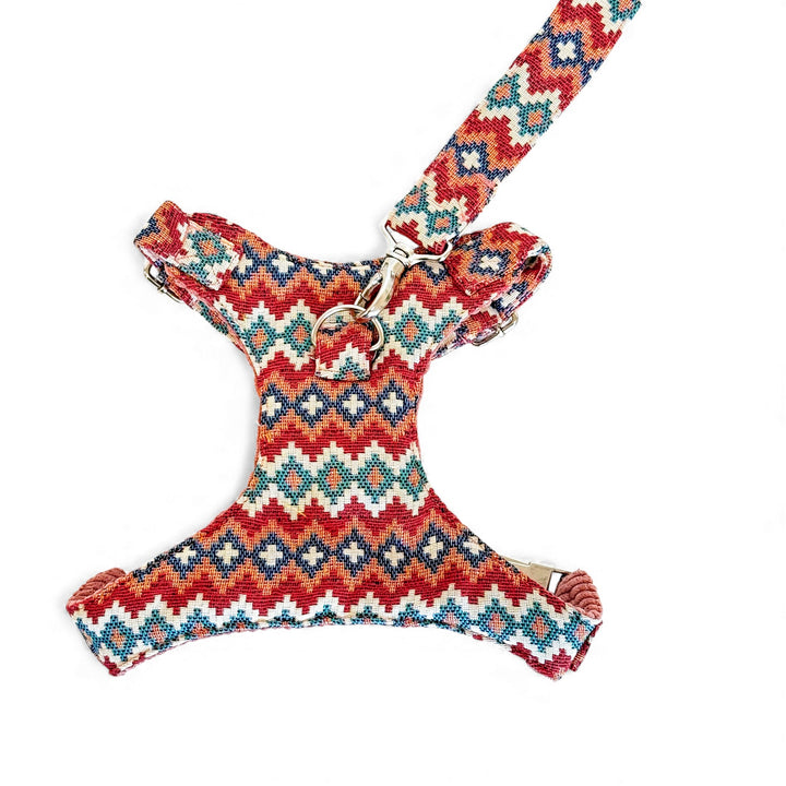 Pack Arnés y Correa Jal