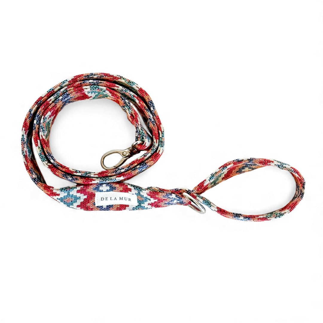 Pack Arnés y Correa Jal