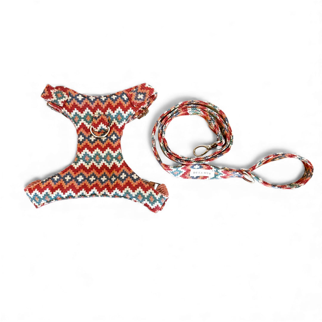 Pack Arnés y Correa Jal