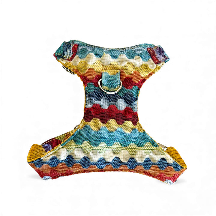 Pack Arnés y Correa Ritzo