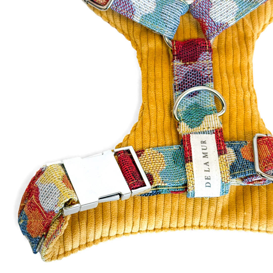 Pack Arnés y Correa Ritzo