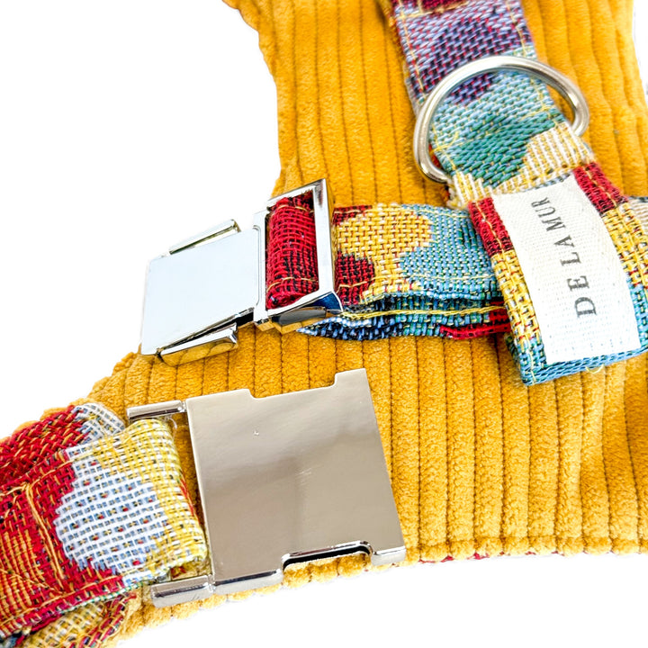 Pack Arnés y Correa Ritzo