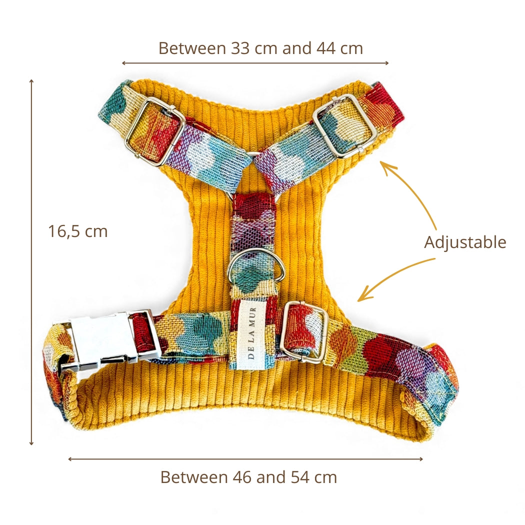 Pack Arnés y Correa Ritzo