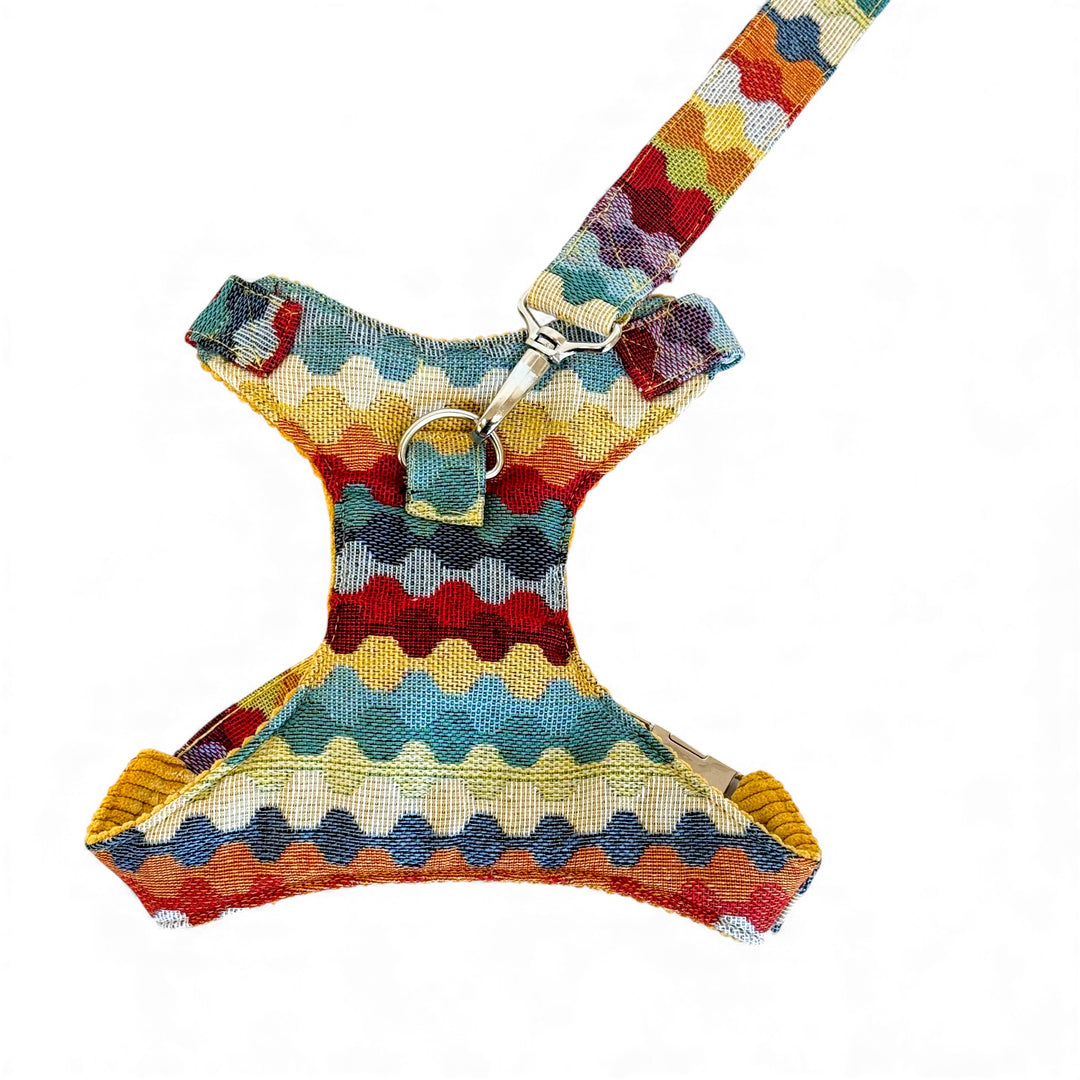 Pack Arnés y Correa Ritzo