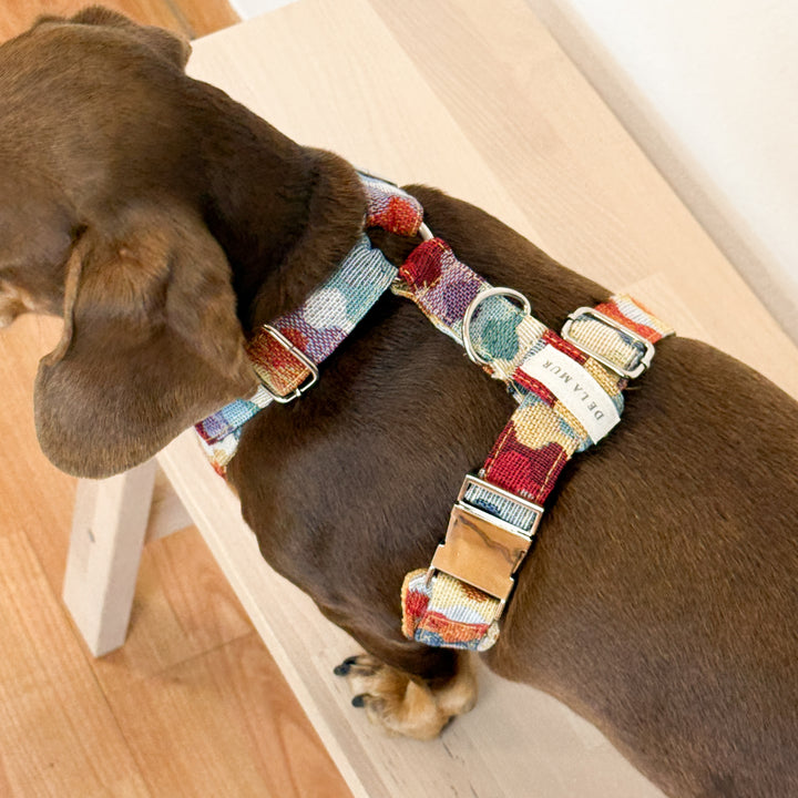 Pack Arnés y Correa Ritzo