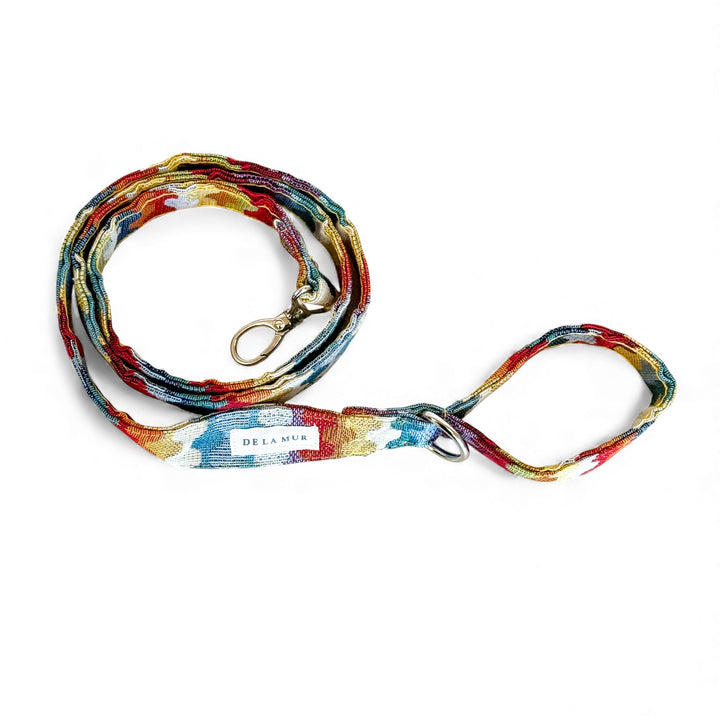 Pack Arnés y Correa Ritzo