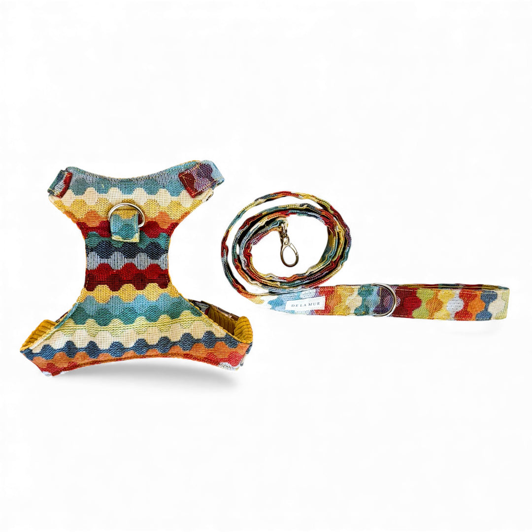 Pack Arnés y Correa Ritzo