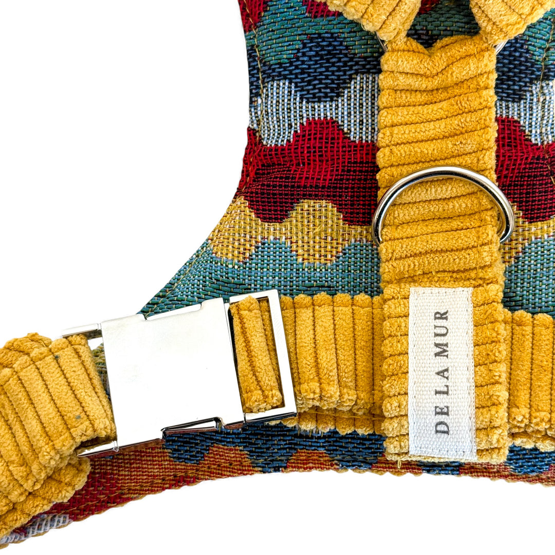 Pack Arnés y Correa Taz