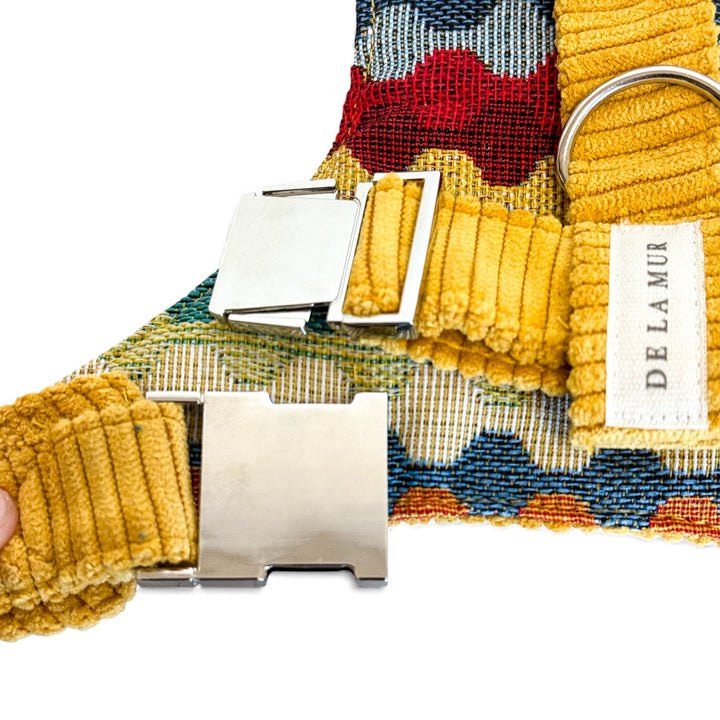 Pack Arnés y Correa Taz