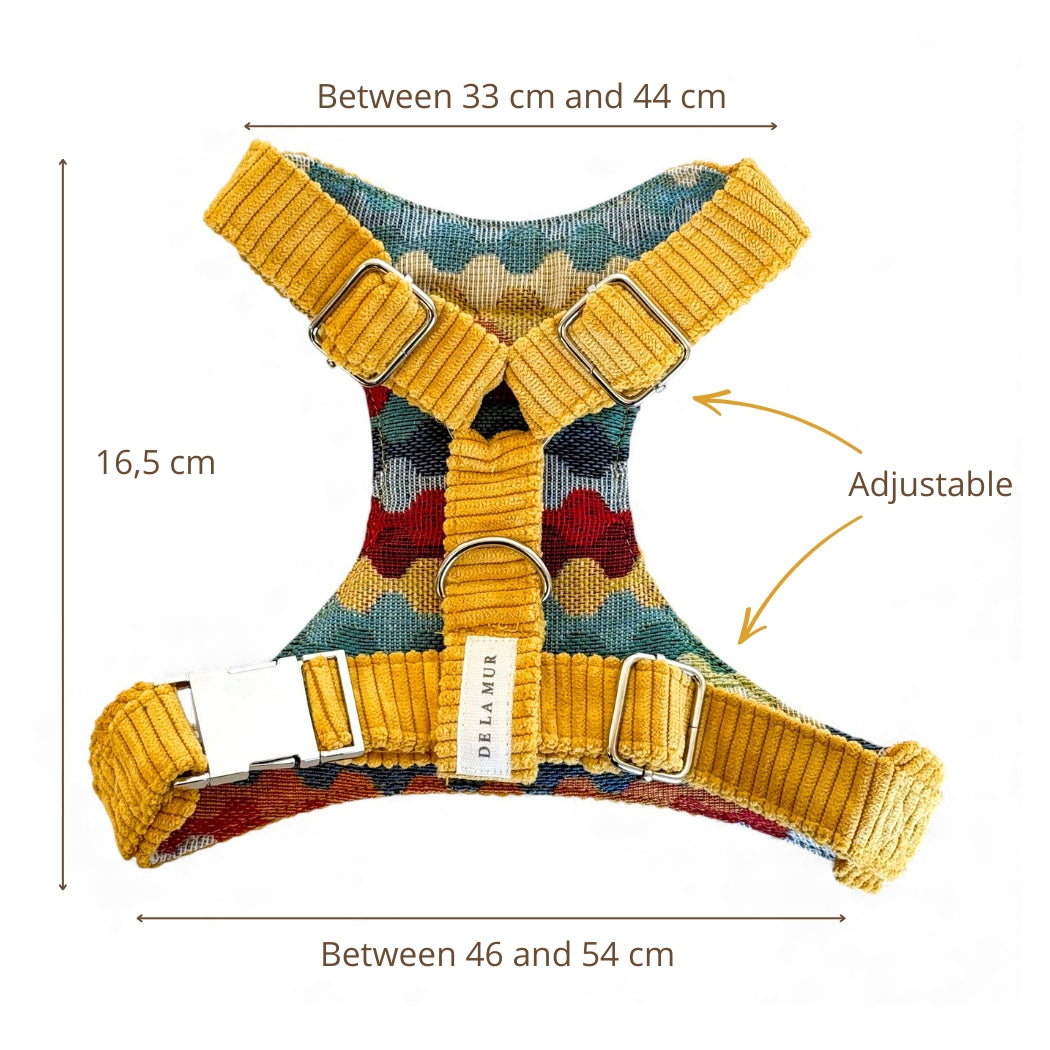 Pack Arnés y Correa Taz