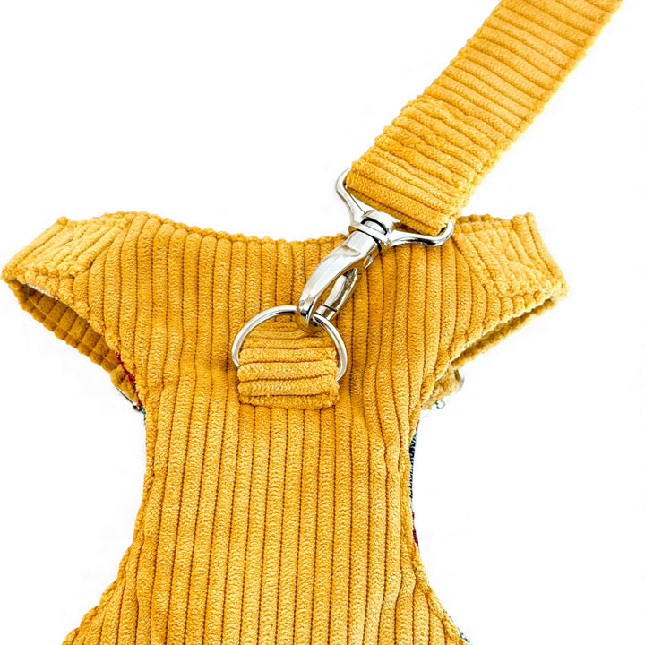 Pack Arnés y Correa Taz