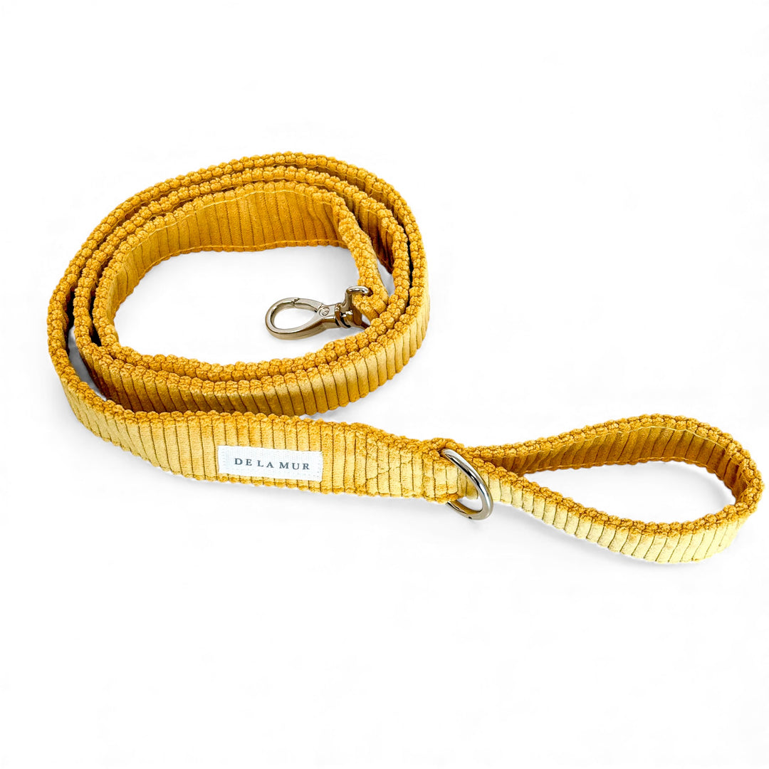 Pack Arnés y Correa Taz