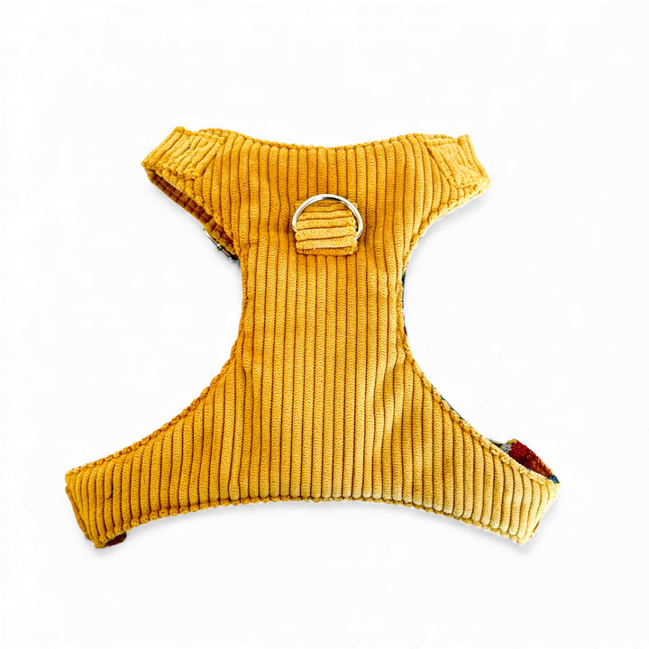 Pack Arnés y Correa Taz