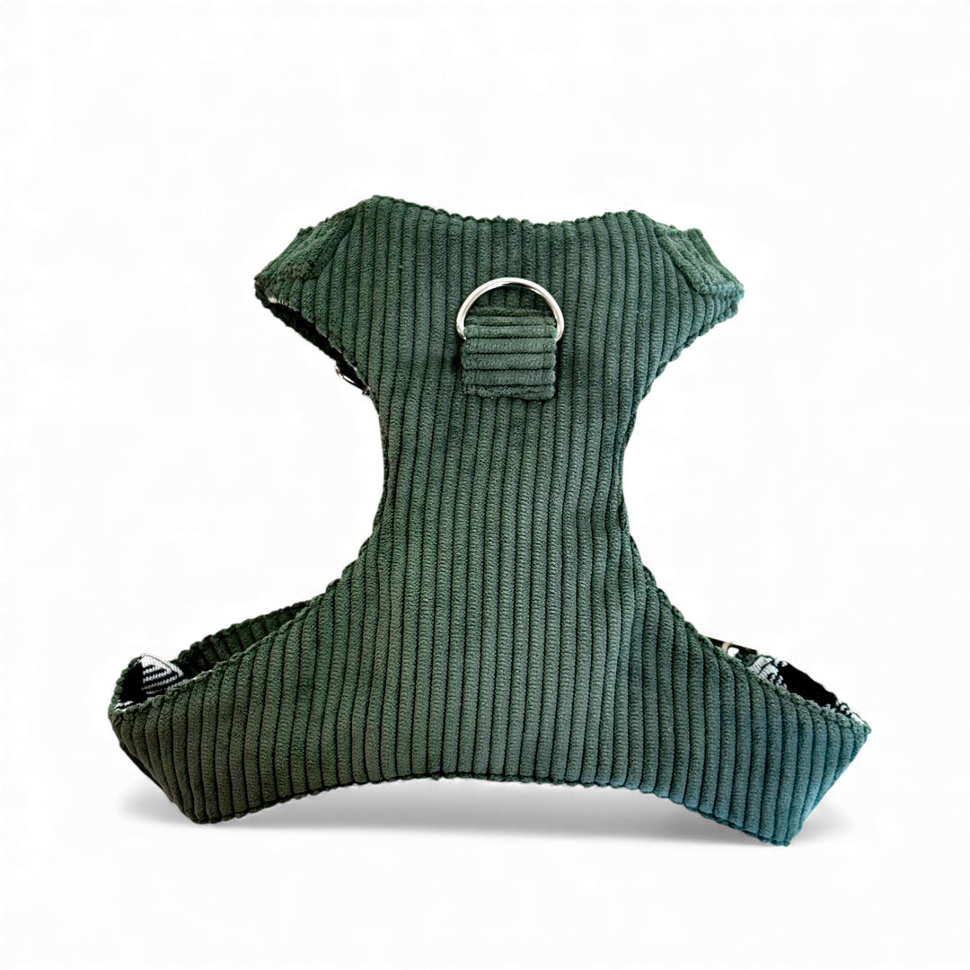 Pack Arnés y Correa Tree