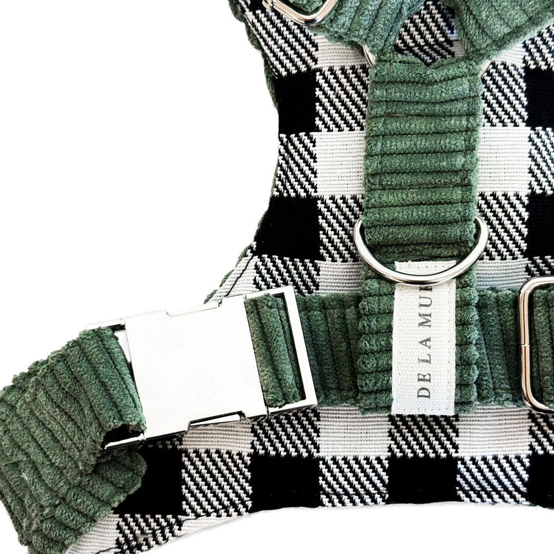 Pack Arnés y Correa Tree