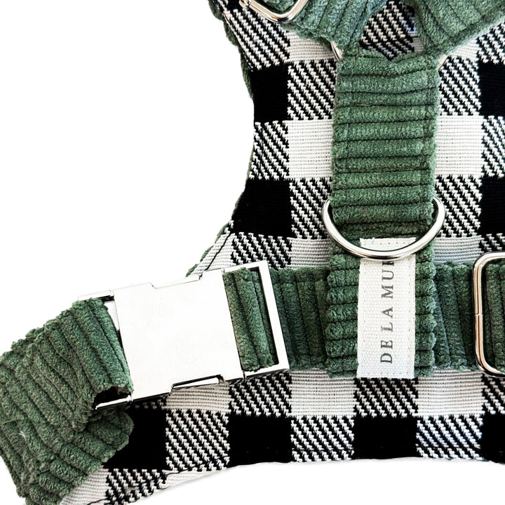 Pack Arnés y Correa Tree