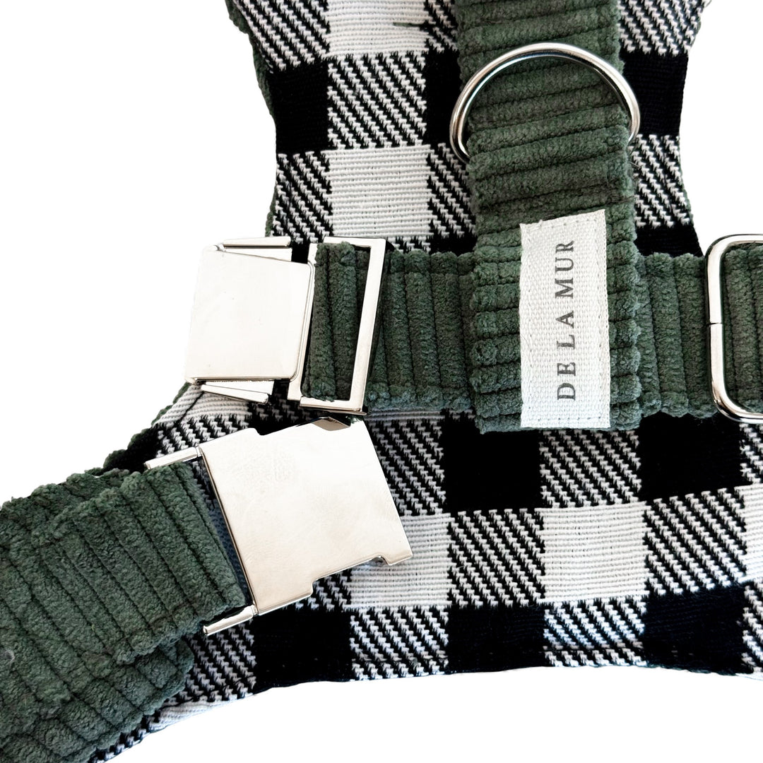 Pack Arnés y Correa Tree