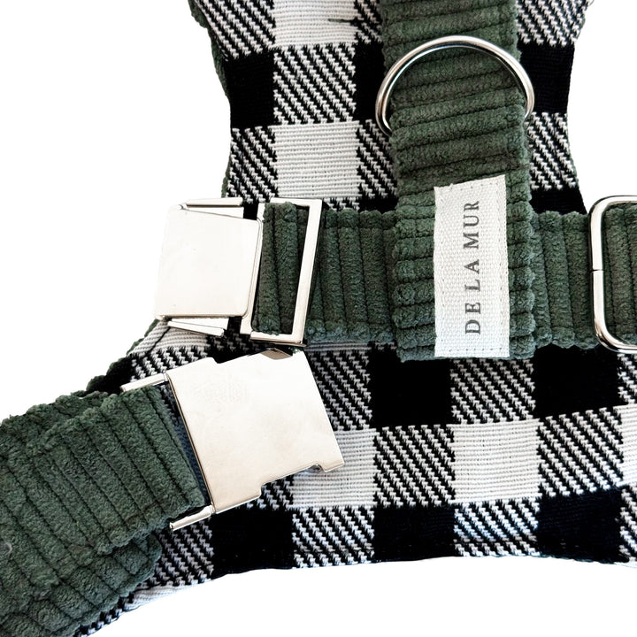 Pack Arnés y Correa Tree