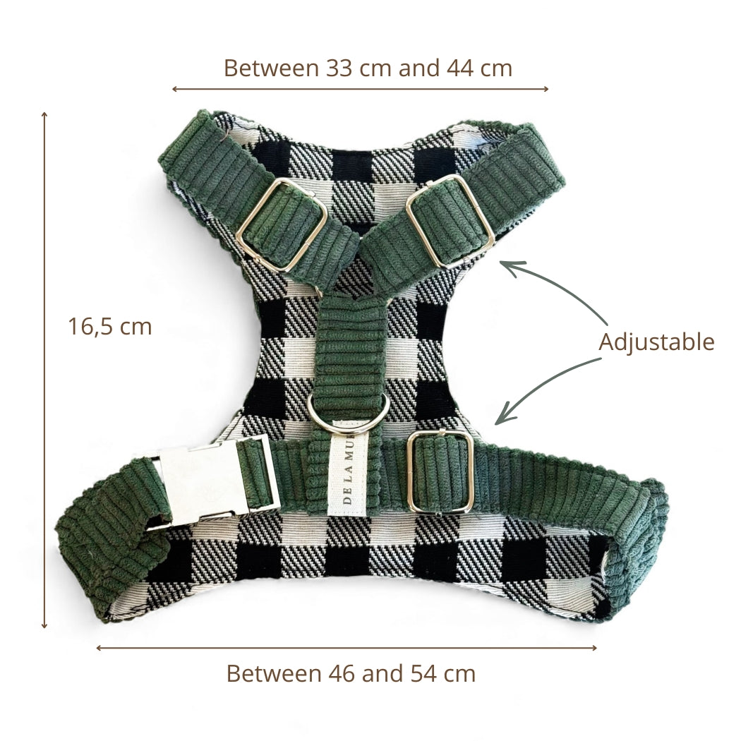 Pack Arnés y Correa Tree