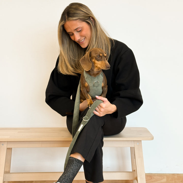 Pack Arnés y Correa Tree