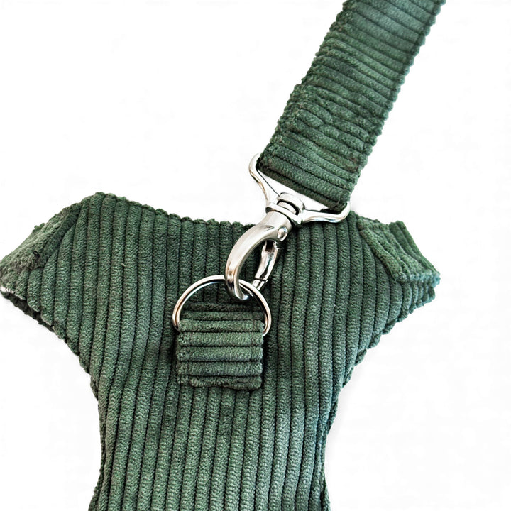 Pack Arnés y Correa Tree