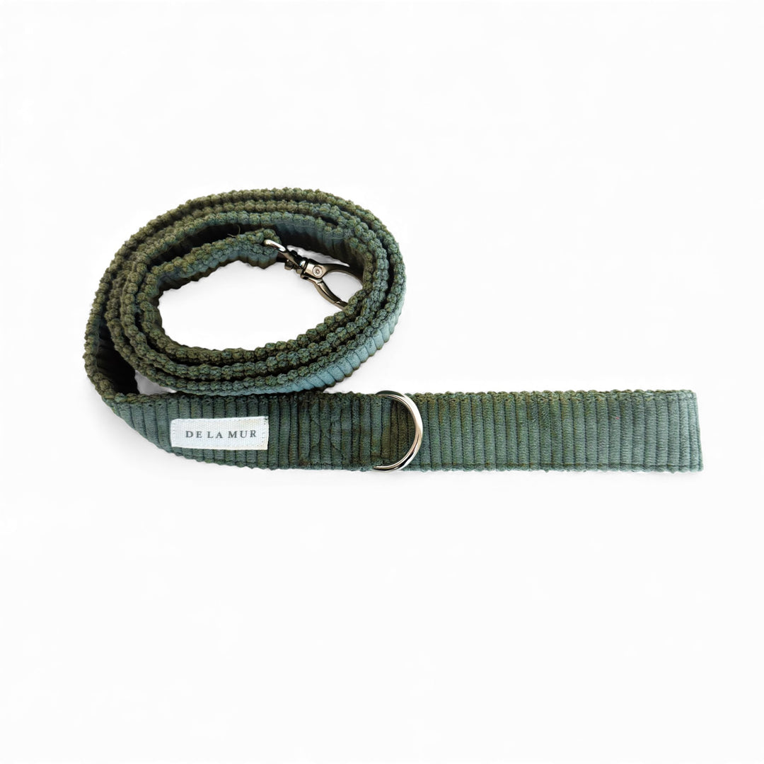 Pack Arnés y Correa Tree