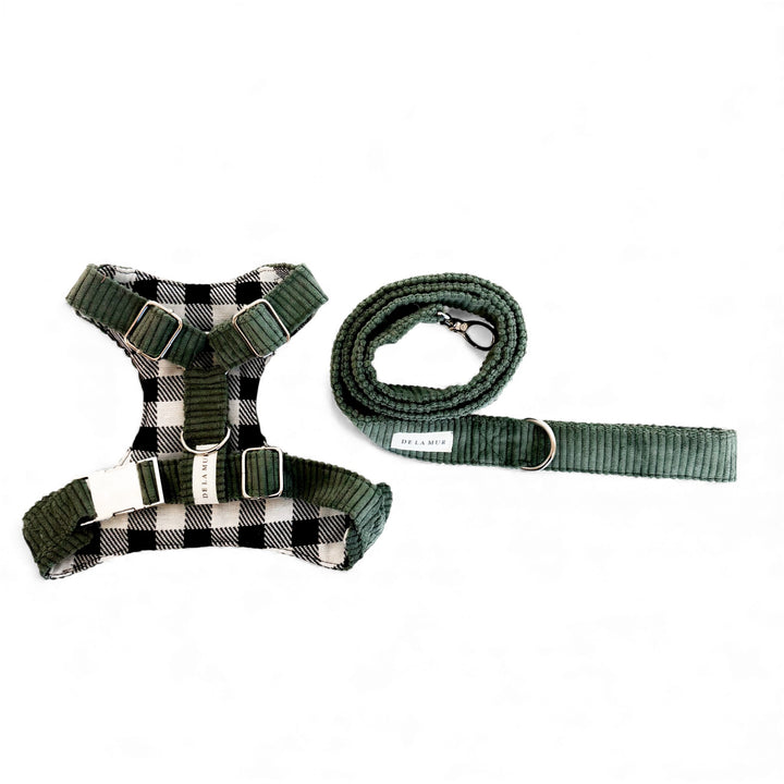 Pack Arnés y Correa Tree