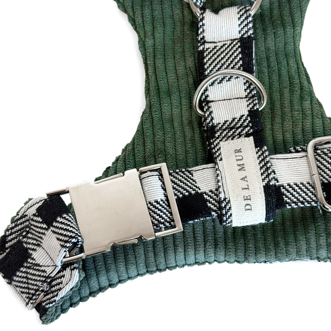 Pack Arnés y Correa Vito