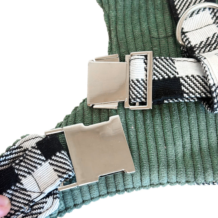 Pack Arnés y Correa Vito