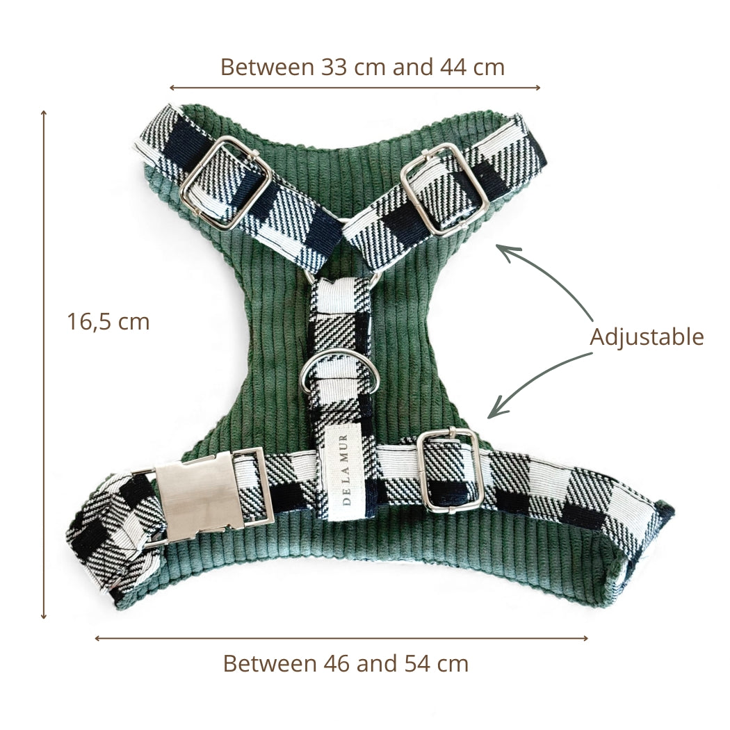Pack Arnés y Correa Vito