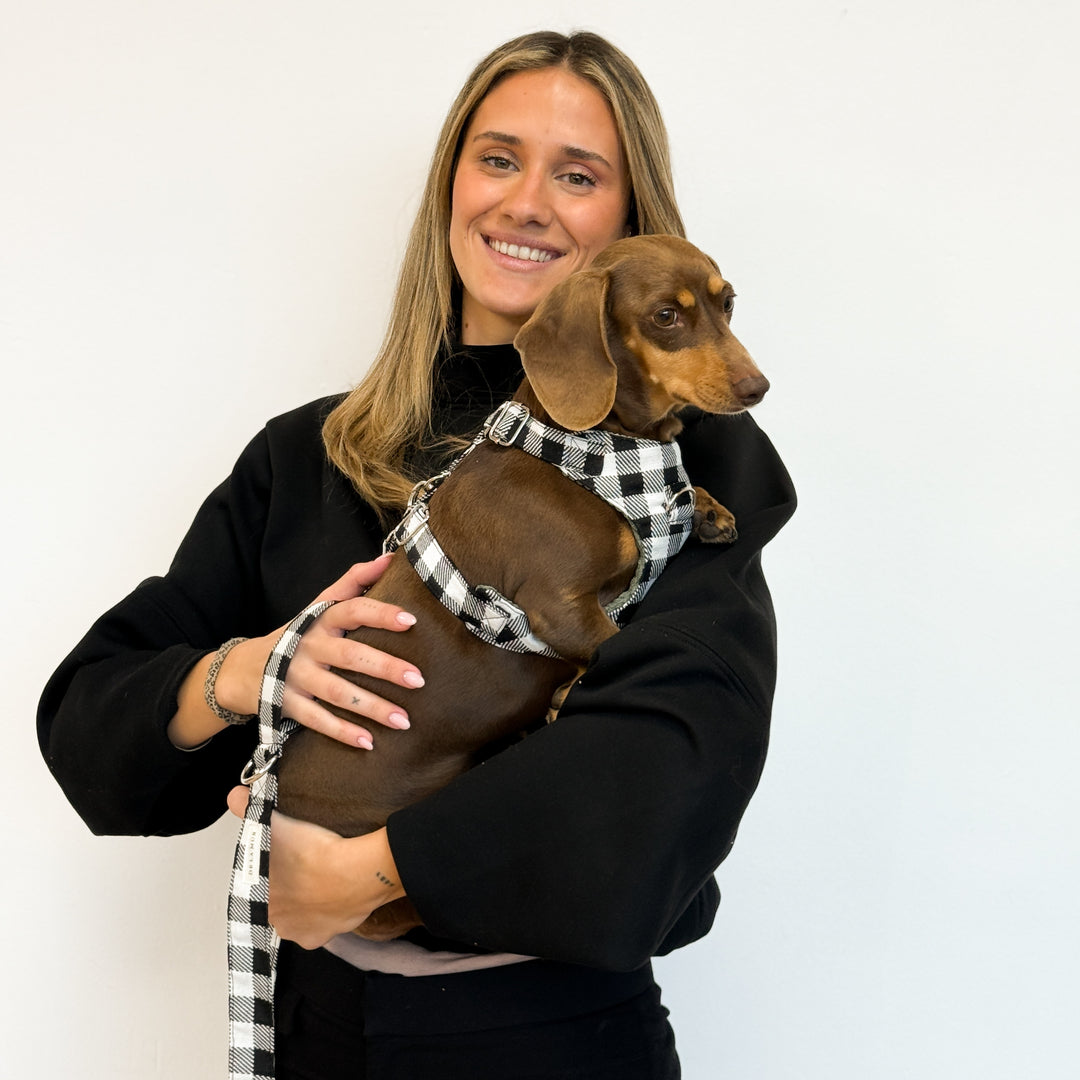 Pack Arnés y Correa Vito