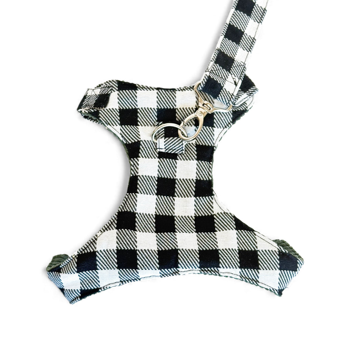 Pack Arnés y Correa Vito