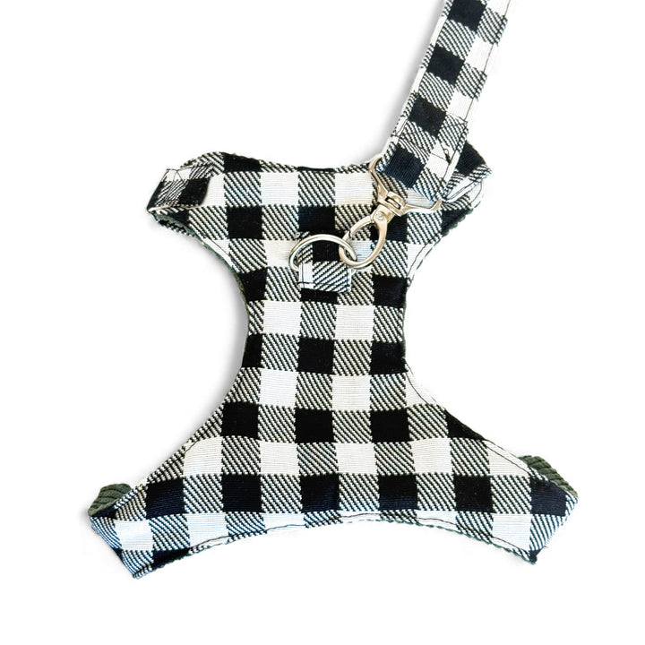 Pack Arnés y Correa Vito