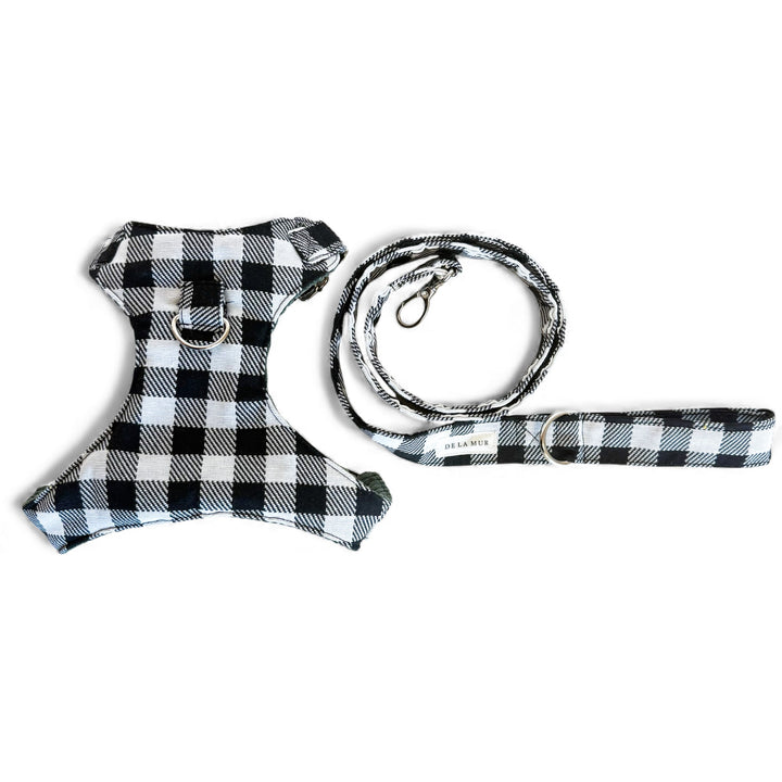 Pack Arnés y Correa Vito