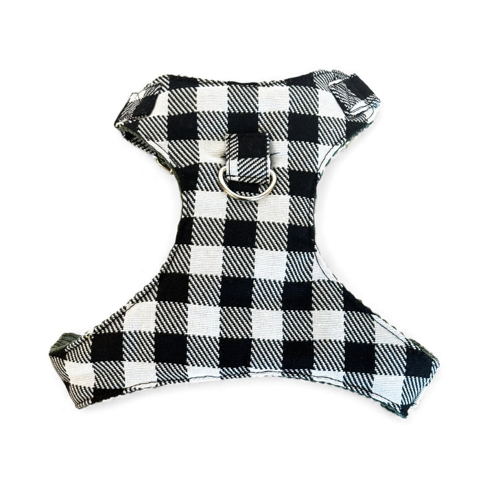 Pack Arnés y Correa Vito